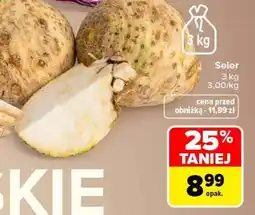 Carrefour SELER oferta