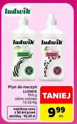 Carrefour Płyn do naczyń Ludwik oferta