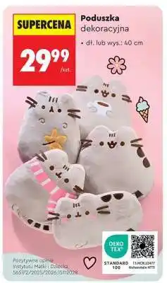 Biedronka Poduszka dekoracyjna oferta