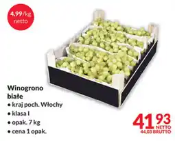 Makro Winogrono białe oferta