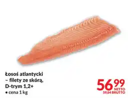 Makro Łosoś atlantycki oferta