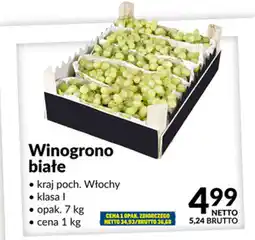 Makro Winogrono białe oferta