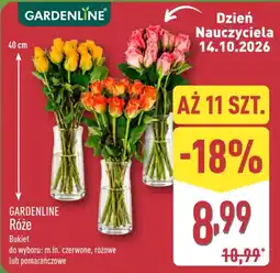 ALDI GARDENLINE Róże oferta
