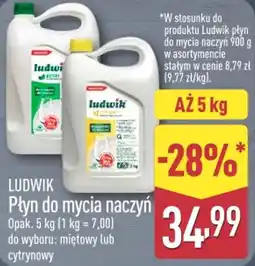 ALDI Płyn do mycia naczyń Ludwik oferta