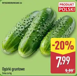 ALDI Ogórki gruntowe oferta