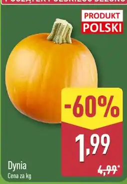 ALDI Dynia oferta