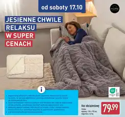 ALDI Koc obciążeniowy oferta