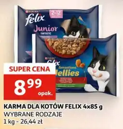 Auchan Karma dla kotów Felix oferta
