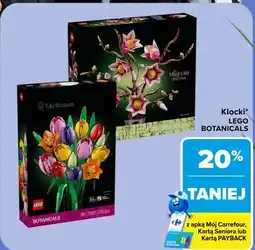 Carrefour Market Klocki LEGO BOTANICALS oferta
