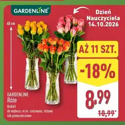 ALDI Róże bukiet Gardenline oferta