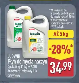 ALDI Płyn do mycia naczyń miętowy Ludwik oferta