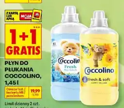 Biedronka Płyn do płukania Coccolino oferta