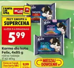 Biedronka Karma dla kota Felix oferta