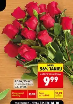 Biedronka Róża, 15 szt oferta