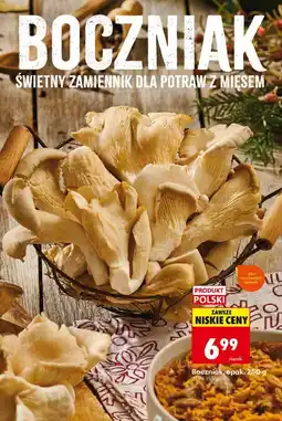 Biedronka Boczniak oferta
