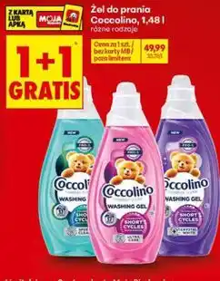Biedronka Żel do prania Coccolino oferta