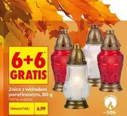Biedronka Znicz z wkładem parafinowym oferta