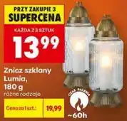 Biedronka Znicz szklany Lumia oferta