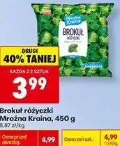Biedronka Brokuł różyczki Mroźna Kraina oferta