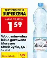 Biedronka Woda mineralna lekko gazowana Muszyna Skarb Życia oferta