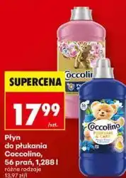Biedronka Płyn do płukania Coccolino, 56 prań oferta