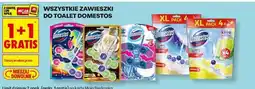 Biedronka Zawieszki do toalet Domestos oferta