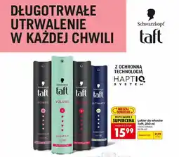 Biedronka Lakier do włosów Taft oferta