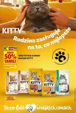 Biedronka Karma sucha dla kota Kitty, różne rodzaje oferta