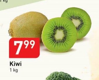 Stokrotka Kiwi 1kg oferta