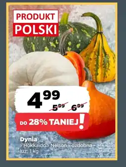 Netto Dynia Polski oferta