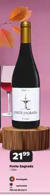 Netto Wino czerwone wytrawne Fonte Sagrada Dão oferta