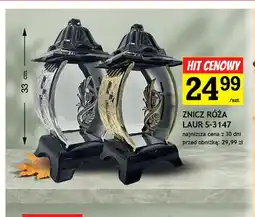 Gram Market Znicz Róża Laur S-3147 oferta