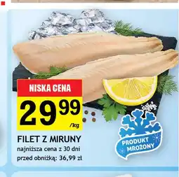 Gram Market Filet z miruny oferta