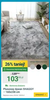 ERLI Pluszowy dywan Shaggy 160x230 cm oferta