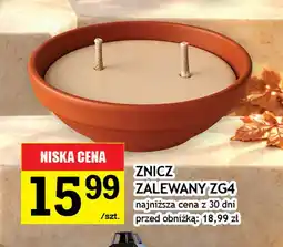 Gram Market Znicz zalewany ZG4 oferta