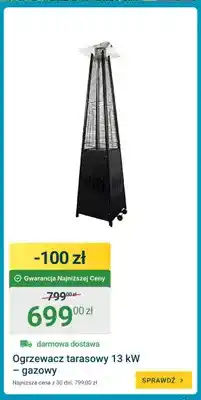 ERLI Ogrzewacz tarasowy gazowy oferta
