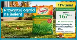 ERLI Nawóz jesienny do trawników Florovit oferta