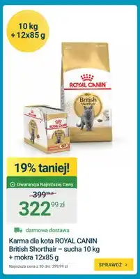 ERLI Karma dla kota Royal Canin British Shorthair – sucha 10 kg + mokra 12x85 g oferta