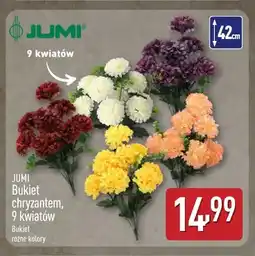 ALDI Bukiet chryzantem 9 kwiatów Jumi oferta