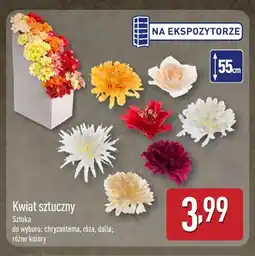 ALDI Kwiat sztuczny chryzantema oferta