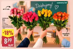 ALDI Bukiet Gardenline oferta