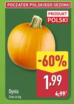 ALDI Dynia Polski oferta