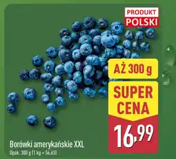 ALDI Borówki amerykańskie Polski oferta
