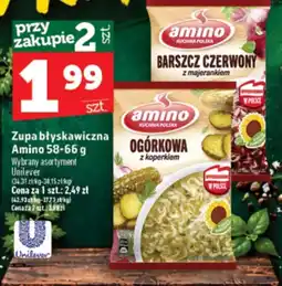 Topaz Express Zupa błyskawiczna Amino oferta