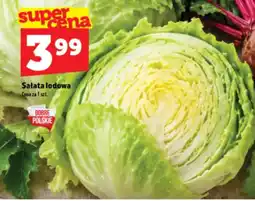 Topaz Express Salata lodowa oferta