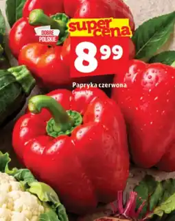 Topaz Express Papryka czerwona oferta