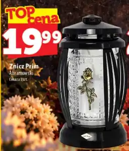 Topaz Express Znicz Prim Abramowski oferta