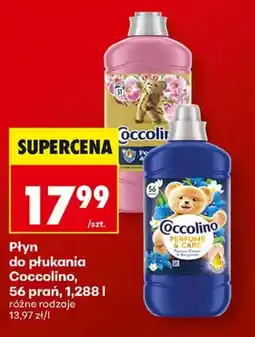Biedronka Płyn do płukania Coccolino oferta
