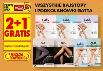 Biedronka Rajstopy i podkolanówki Gatta oferta