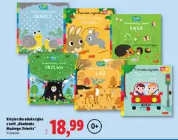 Lidl Książeczka edukacyjna z serii „Akademia Mądrego Dziecka” oferta